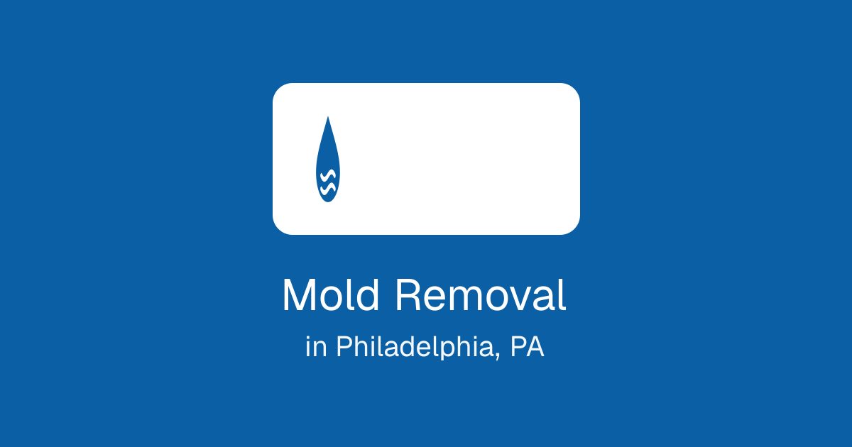 Mold Removal in Philadelphia, PA