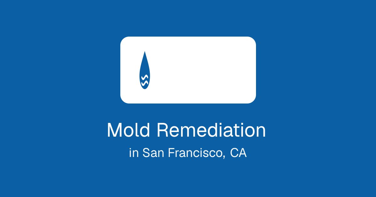 Mold Remediation in San Francisco, CA