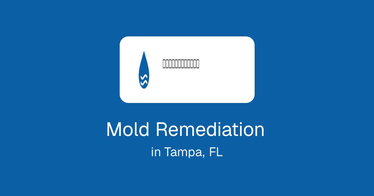 Mold Remediation in Tampa, FL